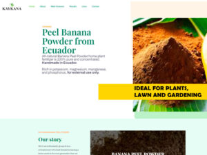 diseño páginas web guayaquil ecuador