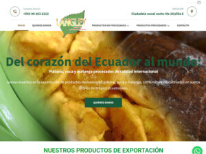 Inicio 12 páginas web en ecuador