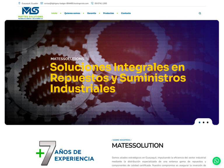 MATTES SOLUTIONS